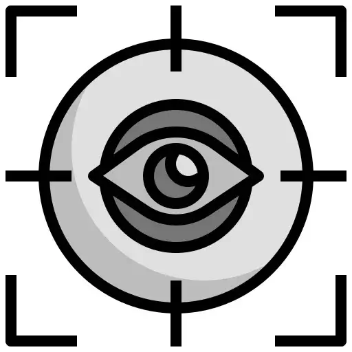 Vision icon